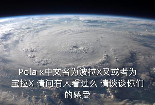 Pola x中文名為波拉X又或者為寶拉X 請問有人看過么 請談談你們的感受