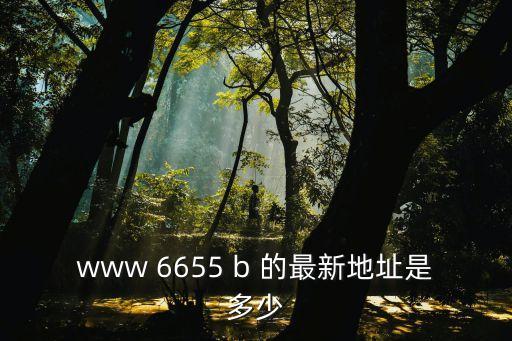 www 6655 b 的最新地址是多少