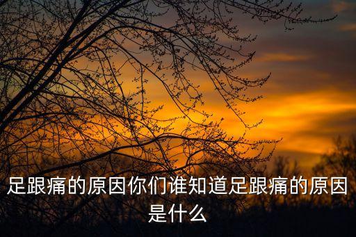 足跟痛的原因你們誰知道足跟痛的原因是什么