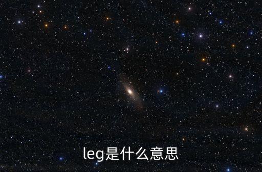 leg是什么意思