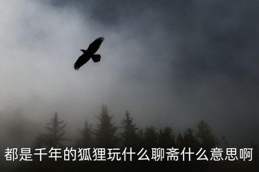 都是千年的狐貍，咱們都是千年的狐貍你跟我玩什么聊齋啊整句話是什么意思