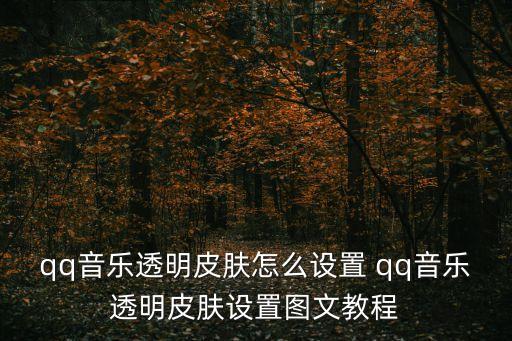 透明皮膚，透明皮膚是什么