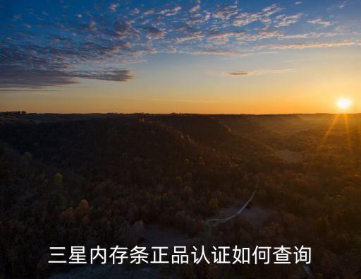 三星內存條官網，三星內存條正品認證如何查詢