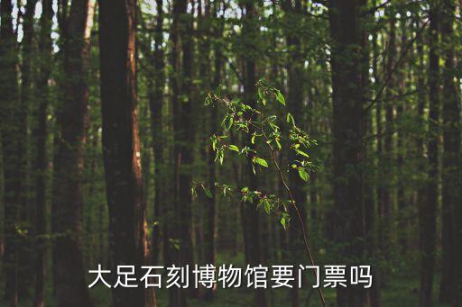 大足石刻博物館要門(mén)票嗎