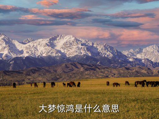 驚鴻一瞥是什么意思，擁躉和驚鴻一瞥分別是什么意思