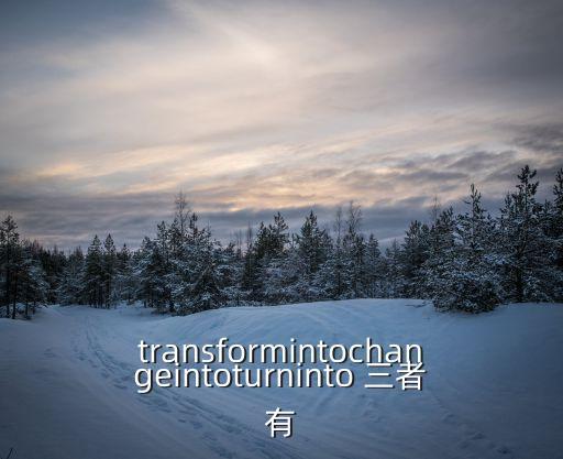 transformintochangeintoturninto 三者有