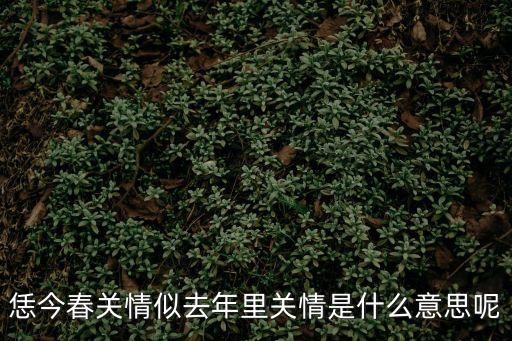 關情，恁今春關情似去年里關情是什么意思呢