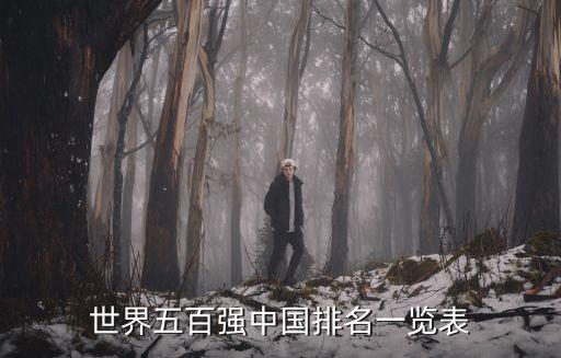 世界五百?gòu)?qiáng)中國(guó)排名一覽表