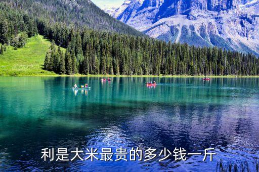 利是大米，利是是什么意思