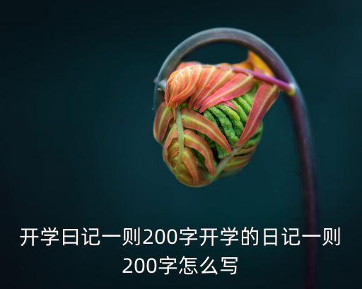 開學曰記一則200字開學的日記一則200字怎么寫