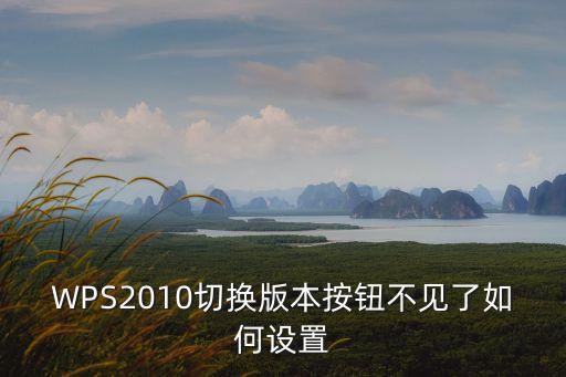 WPS2010切換版本按鈕不見了如何設置