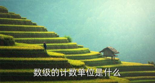 數級的計數單位是什么