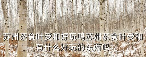 蘇州茶食葉受和好玩嗎蘇州茶食葉受和有什么好玩的東西嗎