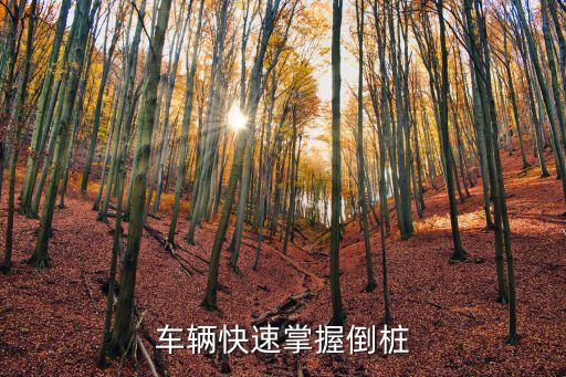 倒樁圖解，倒樁移庫圖解