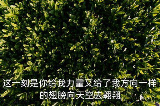 這一刻是你給我力量又給了我方向一樣的翅膀向天空去翱翔