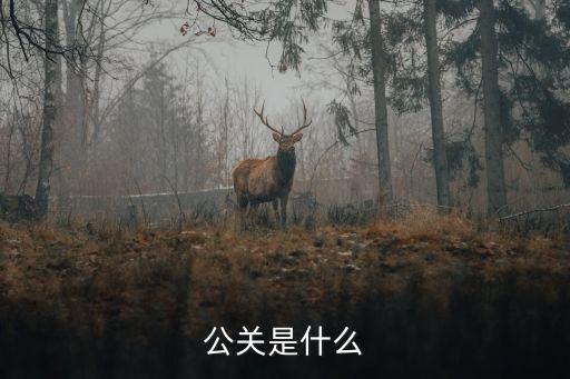 公關，什么叫公關