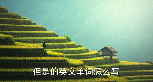 但是的英文單詞怎么寫