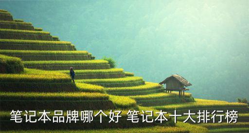 電腦排行榜，什么牌子電腦最好