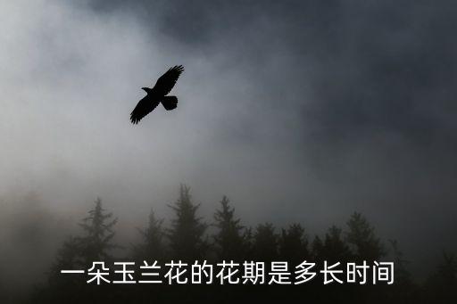 蘭花花期多長時間，一朵玉蘭花的花期是多長時間