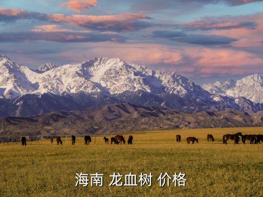 海南 龍血樹 價(jià)格