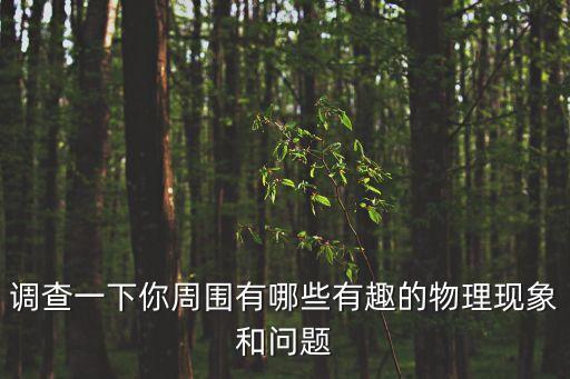 調查一下你周圍有哪些有趣的物理現象和問題