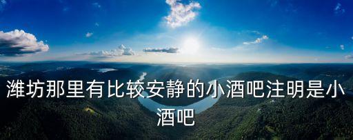 小酒吧，濰坊那里有比較安靜的小酒吧注明是小酒吧