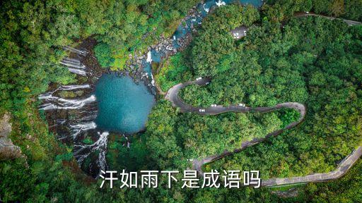 汗如雨下，汗如雨下的意思是什么