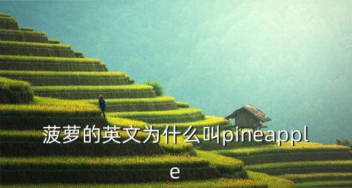 菠蘿蜜英語，QQ農場菠蘿蜜的英文名是什么