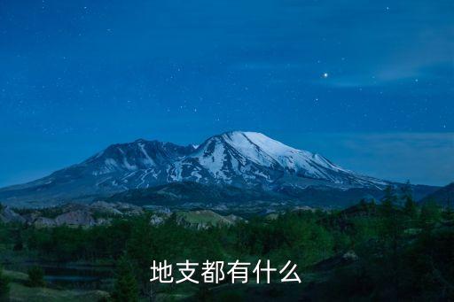 地支都有什么