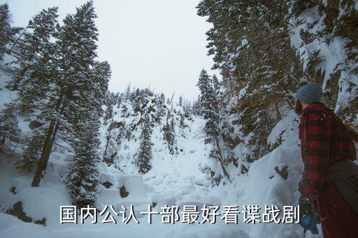 國內公認十部最好看諜戰劇