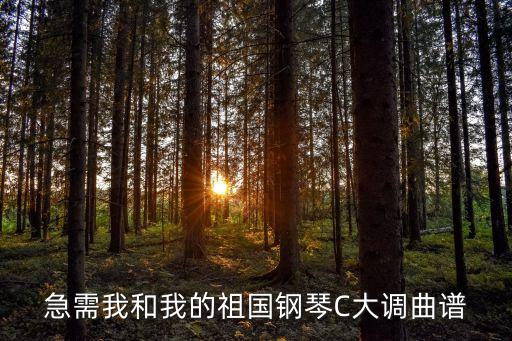 我和我的祖國歌譜，求我和我的祖國總譜C大調或D大調