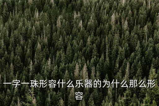 一字一珠形容什么樂器的為什么那么形容