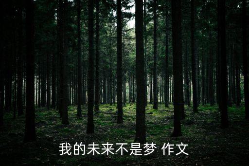 我的未來不是夢作文，以我的未來不是夢為話題的作文 600字