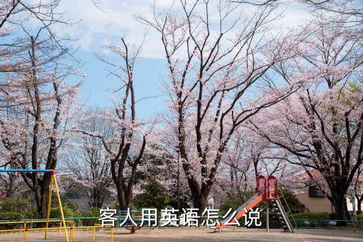 客人英語，客人用英語怎么說