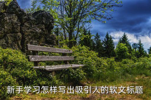 新手學習怎樣寫出吸引人的軟文標題