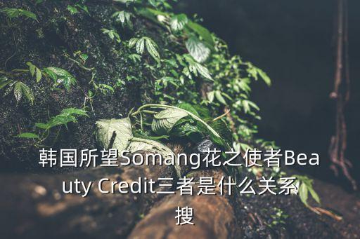 somang，韓國所望Somang好用嗎介紹一下