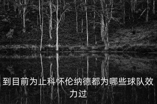 到目前為止科懷倫納德都為哪些球隊(duì)效力過