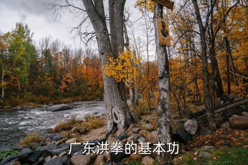 洪拳，洪拳是什么