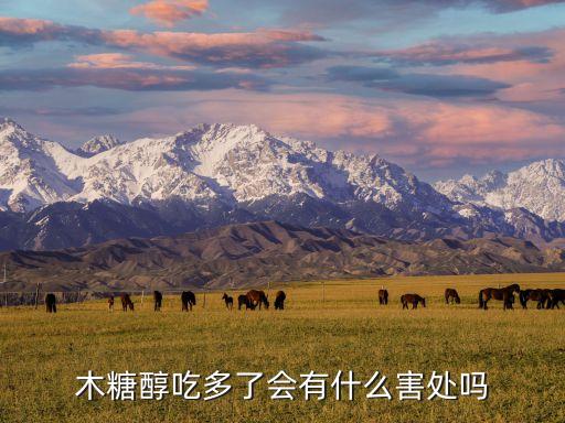 木糖醇的危害，吃木糖醇對身體有什么壞處