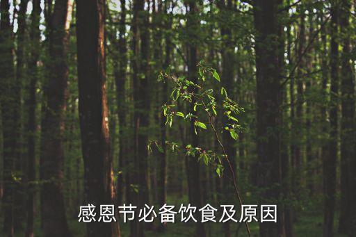 感恩節(jié)必備飲食及原因