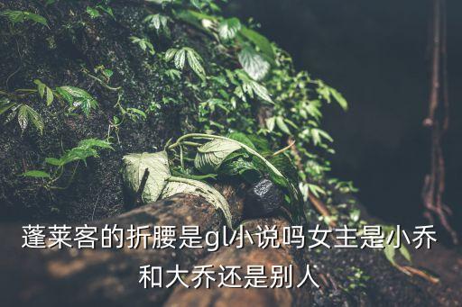小說折腰，小說折腰 百度云