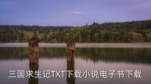三國求生記，現代重生走文學道路的小說