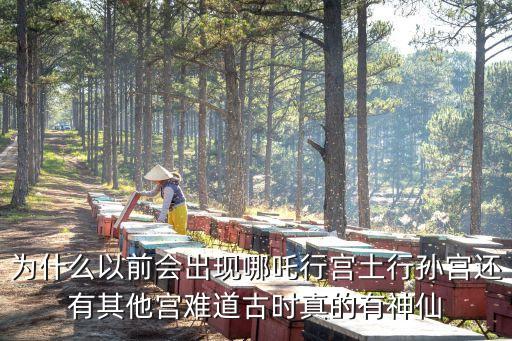 為什么以前會(huì)出現(xiàn)哪吒行宮土行孫宮還有其他宮難道古時(shí)真的有神仙