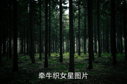 牽牛織女星圖片