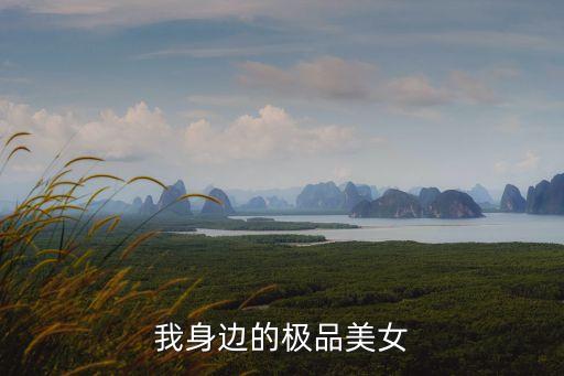我身邊的極品美女們，我身邊的極品美女們這本書有沒有結局啊