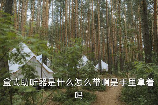 盒式助聽器，什么是盒式助聽器
