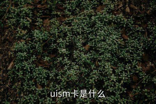 uism卡是什么