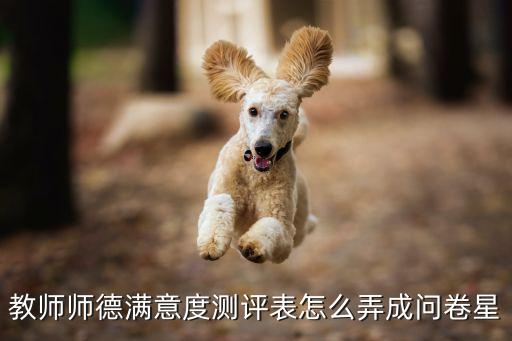 滿意度測評表，明尼蘇達滿意度量表的介紹