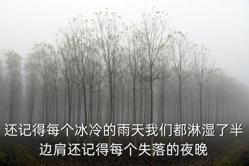 還記得每個冰冷的雨天我們都淋濕了半邊肩還記得每個失落的夜晚