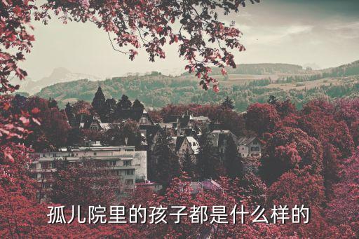 孤兒院里的孩子都是什么樣的